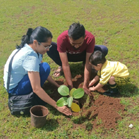 Tree Planting